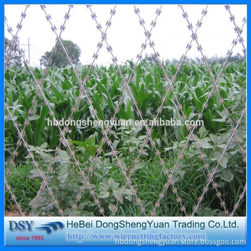 Galvanized welded razor wire mesh/Blade concertina razor barbed wire export to American,African,Australia,Canada